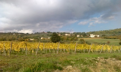 21/3 TREKKING ANELLO DI GRASSINA